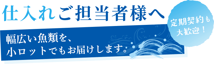 仕入れご担当者様へ 幅広い魚類を、小ロットでもお届けします。 定期契約も大歓迎！